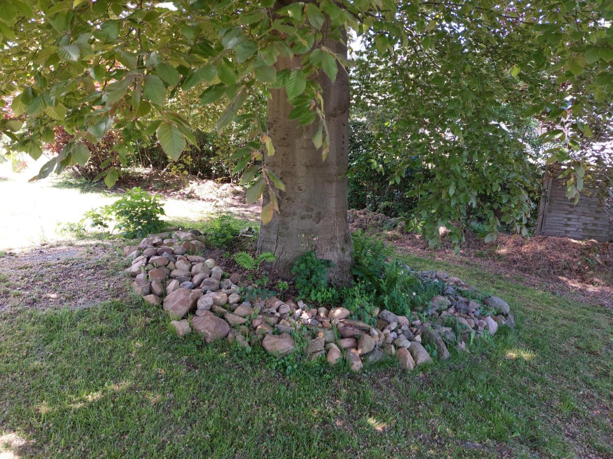 Gasthof Oberschmiede Auf der Wiese Esterno foto